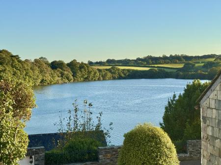 View From the Garden