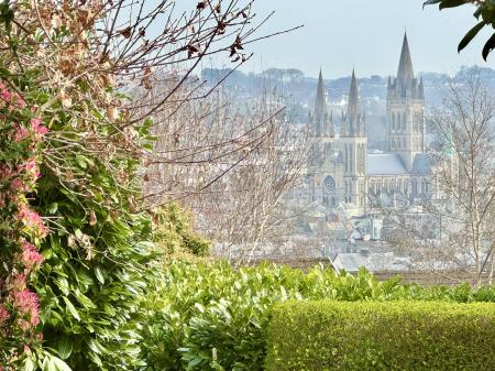 View From The Path In Front