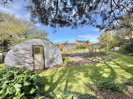 Large Polytunnel Exterior