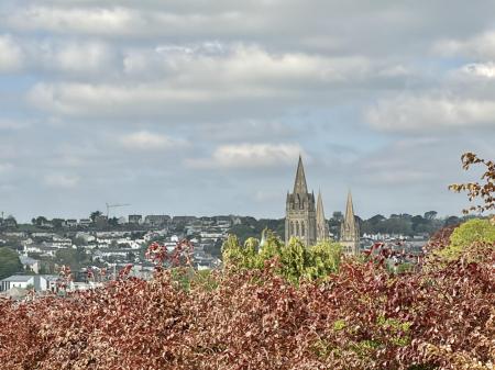 Cathedral View