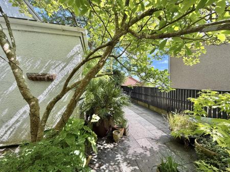 Side Garden