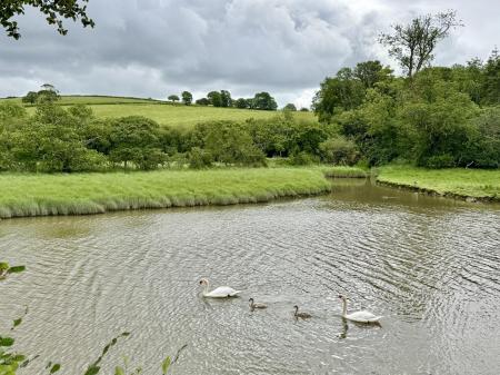 Wildlife Haven