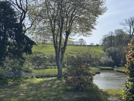 Shared River Frontage