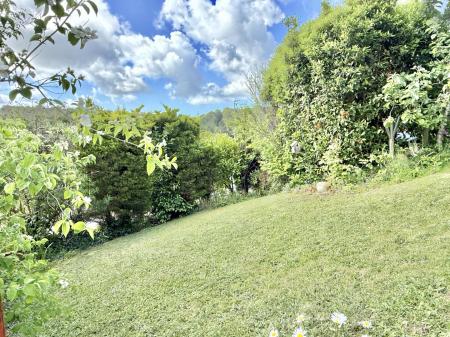 FrontGarden
