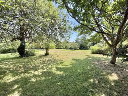 Orchard