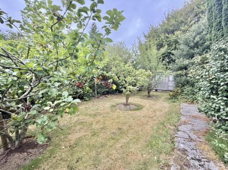 Orchard Garden