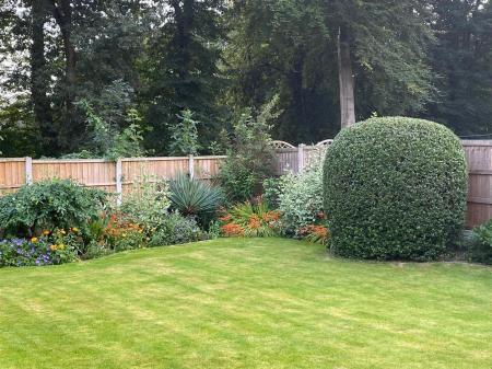 IMG-20260415-WA0020.jpg