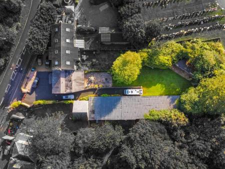 dji_fly_20230929_093604_372_1695976581863_photo_op