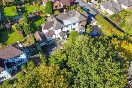 dji_fly_20241010_130900_108_1728562207231_photo_op