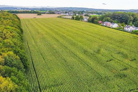 dji_fly_20230926_113550_360_1695724565098_photo_op