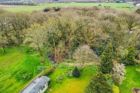 dji_fly_20240328_131932_658_1711632122085_photo_op