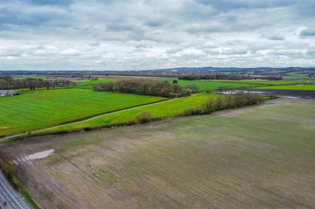 dji_fly_20240328_131430_643_1711631683347_photo_op