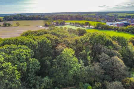 dji_fly_20231017_135722_399_1697547457823_photo_op