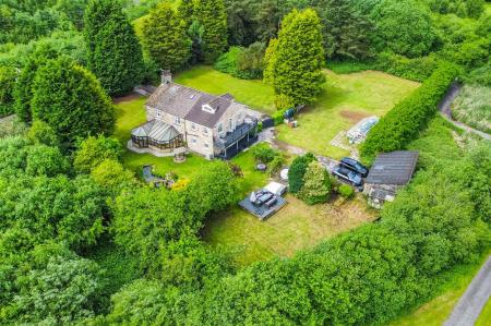 dji_fly_20240530_115648_828_1717066619388_photo_op