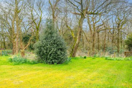 DSC_9566-Edit.jpg