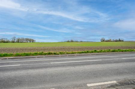DSC_9581-Edit.jpg