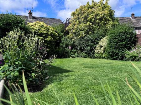 Garden 3.jpg