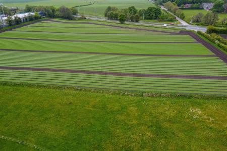DJI_0052.jpg