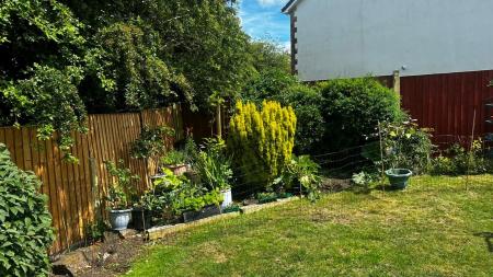Garden 2.jpg
