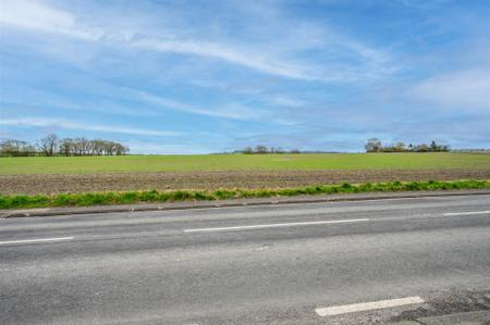 DSC_9581-Edit.jpg