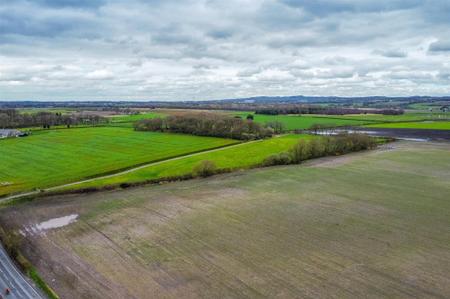 dji_fly_20240328_131430_643_1711631683347_photo_optimized.jpg