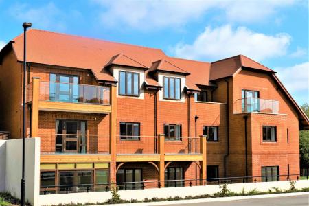 MASTER 74,48 LG 52,53 G 59,60 1st Angelica.jpg