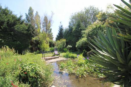 Garden 8.jpeg