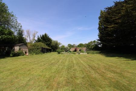 Garden.JPG