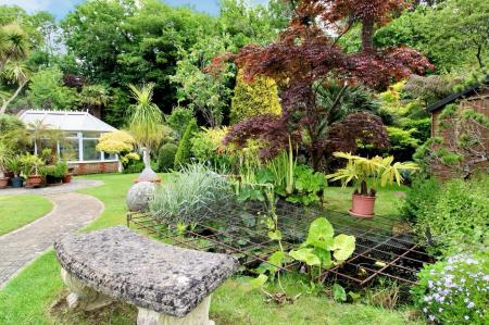 Garden 4.jpeg