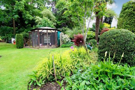 Garden 3.jpeg