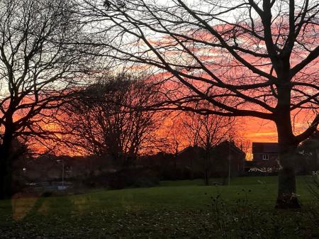 sunset 3.jpg