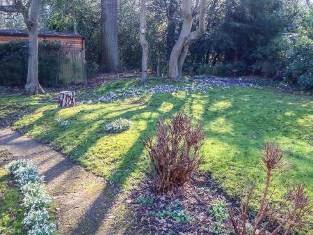 Bridge close garden 1.jpg