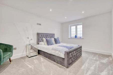 IMG_4575_9 copy 2.jpg