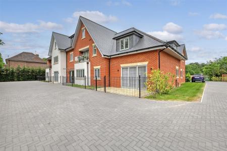 IMG_4853_2 copy 2.jpg