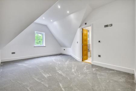 IMG_4701_1 copy 2.jpg