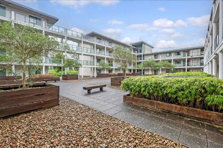 IMG_0198_15 copy.jpg