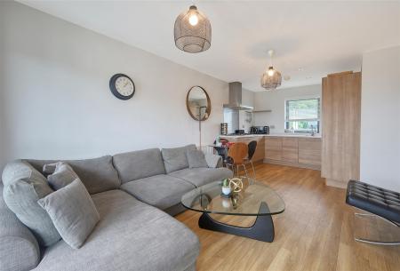 IMG_0176_13 copy.jpg