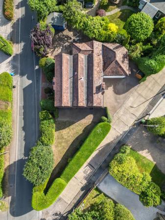 DJI_0110.jpg