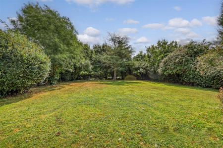 IMG_2187_27 copy.jpg