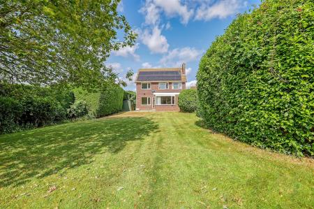 IMG_2195_29 copy.jpg