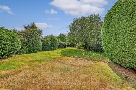 IMG_2173_25 copy.jpg