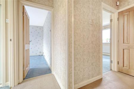 IMG_2084_13 copy.jpg