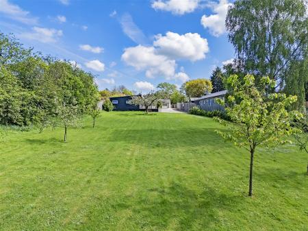 DJI_20240504104641_0020_D copy.jpg