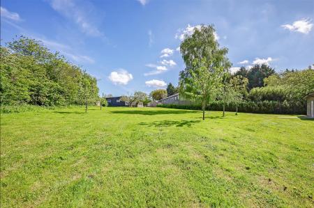 IMG_7032_37 copy.jpg