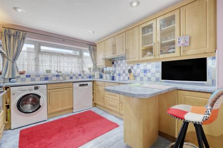 img_9675_12 copy 2.png