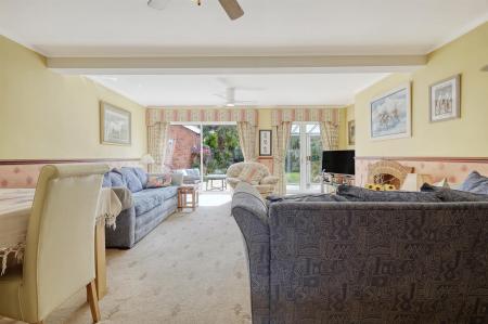 img_9656_8 copy 2.png