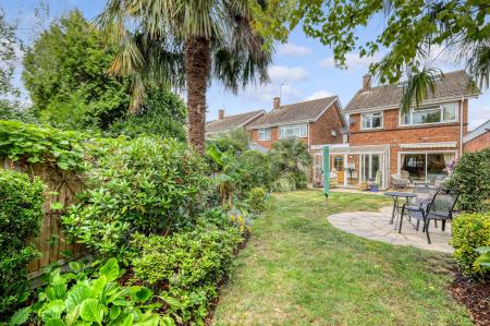 img_9630_5 copy 2.jpg