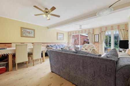 img_9651_7 copy 2.png