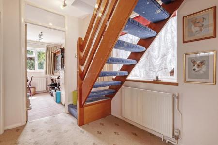 img_9750_25 copy 2.jpg