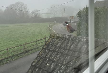 IMG_8199.jpeg